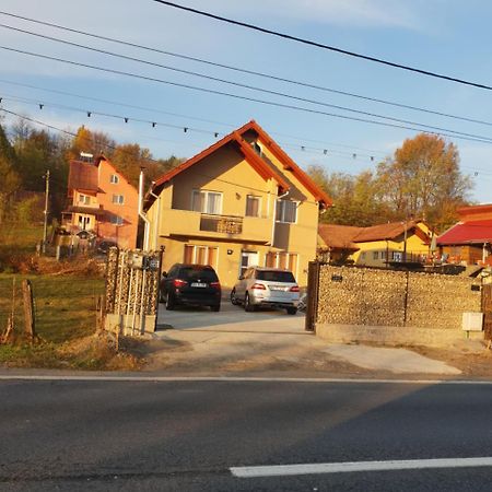 فيلا Steluta Călimăneşti المظهر الخارجي الصورة