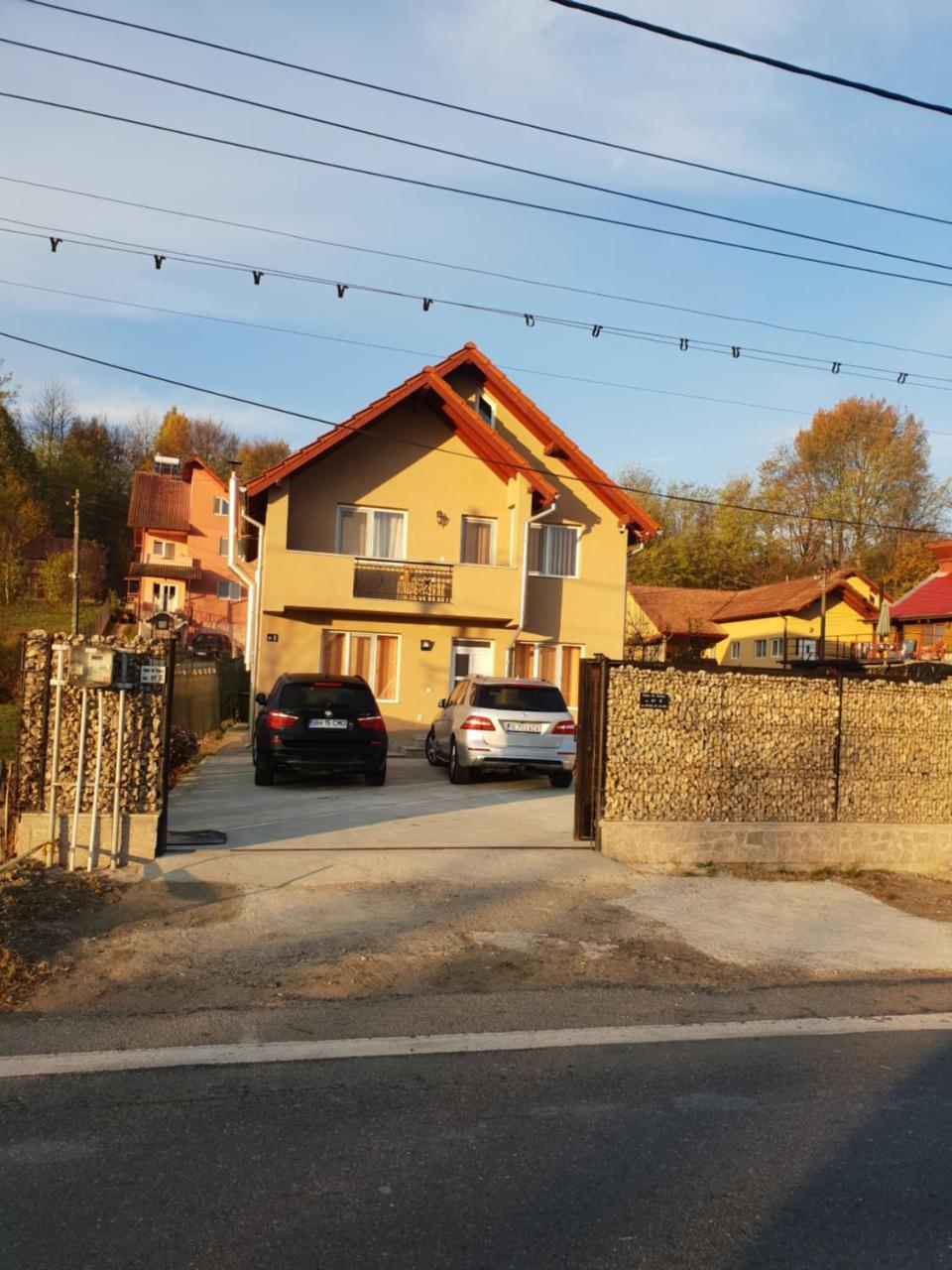 فيلا Steluta Călimăneşti المظهر الخارجي الصورة